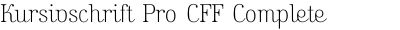Kursivschrift Pro CFF Complete Family Pack